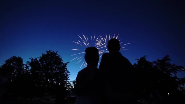 Menschen beobachten Feuerwerk — Stockvideo
