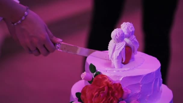 Corte pedaço de bolo de casamento — Vídeo de Stock
