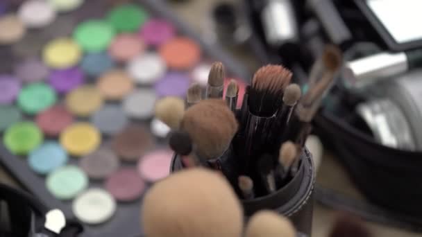 Professionelle Make-up-Pinsel — Stockvideo