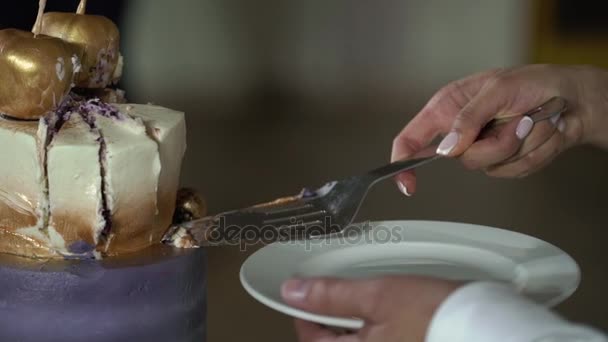 Cutting piece of wedding cake — Stock Video