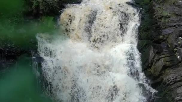 Cascade dans la nature sauvage