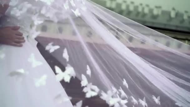 Свадебная пара обнимается, вуаль машет рукой — стоковое видео