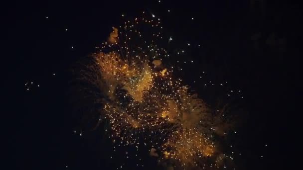 Bellissimi fuochi d'artificio colorati — Video Stock