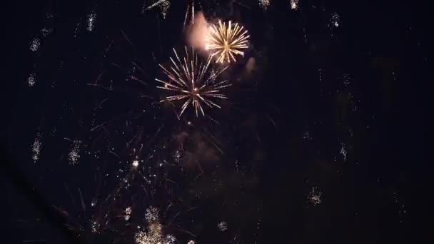 Kembang api warna-warni yang indah — Stok Video