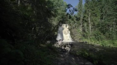 Gelinlik şelale yakınında