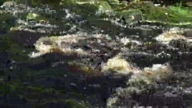 Dağ nehir şelale kenarında