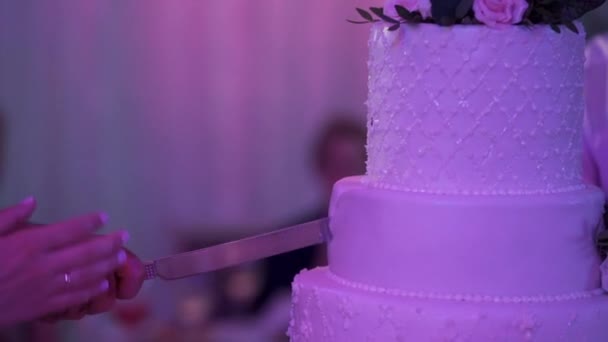Tăiere bucată de tort de nuntă — Videoclip de stoc
