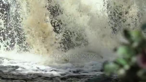 Blumenstrauß in der Nähe von Wasserfall — Stockvideo