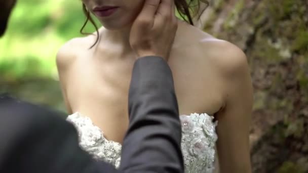 Young couple embracing in park — Stock Video