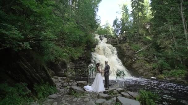 Para młoda ślub ceremonii w pobliżu wodospad — Wideo stockowe