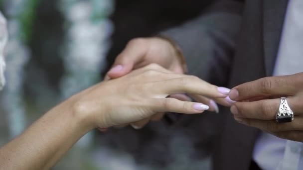 Young wedding couple exchange rings at ceremony near waterfall — Stock Video