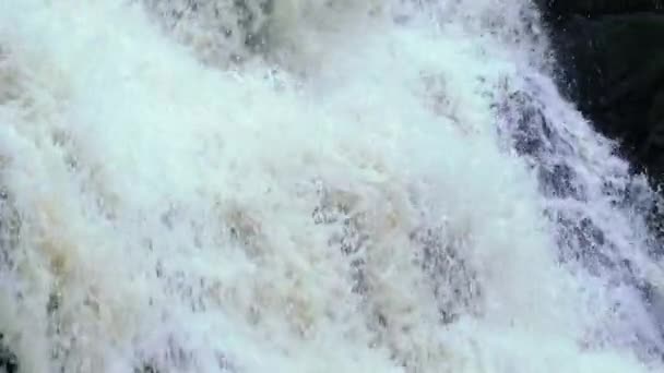 Cascade dans la nature sauvage