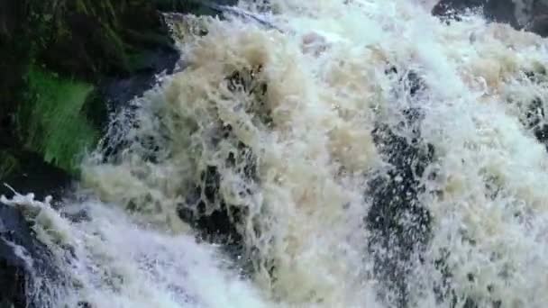 Cascade dans la nature sauvage