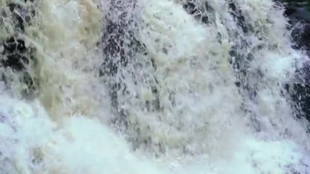 Cascade dans la nature sauvage