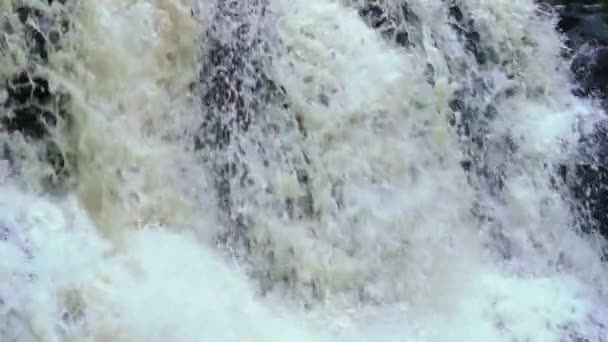 Cascata nella natura selvaggia — Video Stock