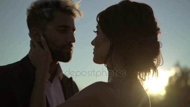 Pasangan muda yang indah memeluk siluet — Stok Video