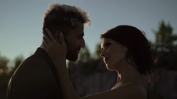 Junges schönes Paar umarmt Silhouette — Stockvideo