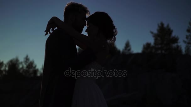 Jeune beau couple étreignant silhouette — Video