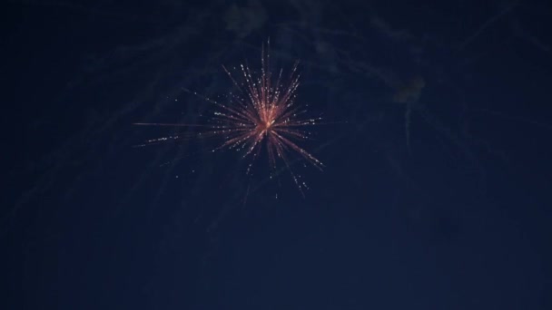 Фейерверк на ночном небе — стоковое видео