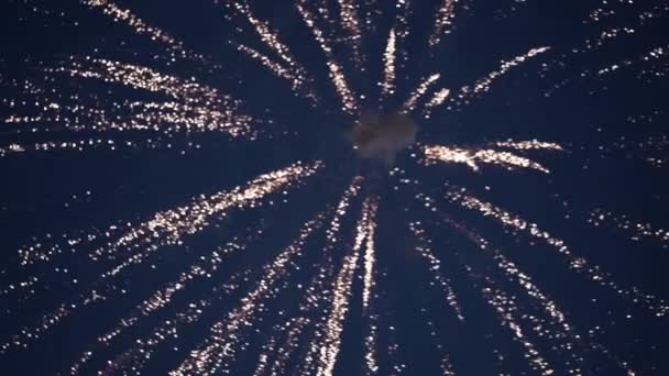 Vuurwerk in de nachtelijke hemel — Stockvideo