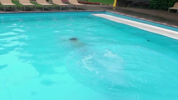 Junger Mann schwimmt im Pool — Stockvideo