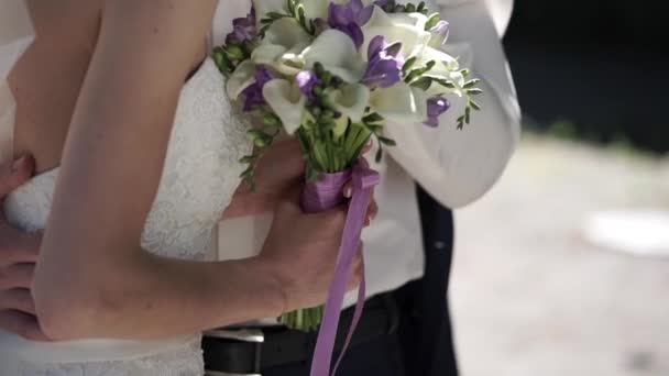 Sposa e sposo abbraccio — Video Stock