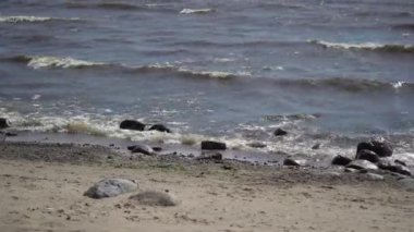 Güneşli rüzgarlı gün denizde