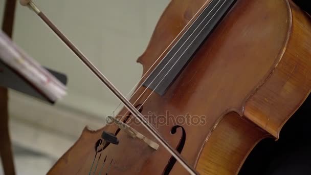 Muzyk grający na skrzypcach — Wideo stockowe