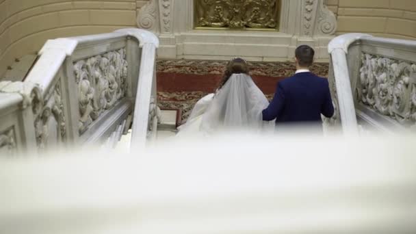 Braut und Bräutigam auf der Treppe — Stockvideo