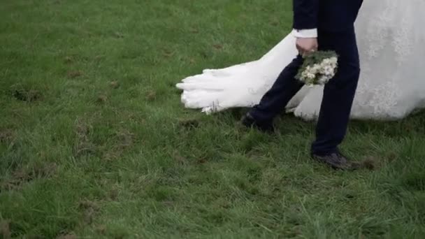 新娘和新郎在公园散步 — 图库视频影像