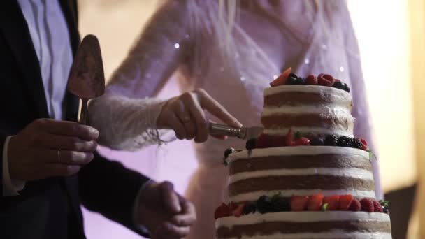 Νύφη και γαμπρός κοπή γαμήλια τούρτα — Αρχείο Βίντεο