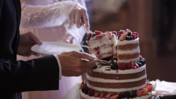 Noiva e noivo corte bolo de casamento — Vídeo de Stock