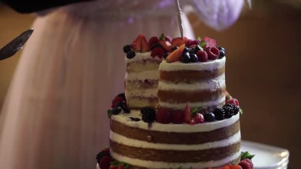 Braut und Bräutigam schneiden Hochzeitstorte — Stockvideo