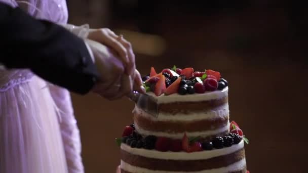 花嫁と新郎のカッティングウェディングケーキ — ストック動画
