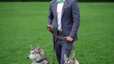 Husky köpek adam