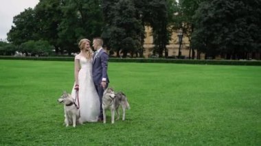 Gelin ve damat husky köpekleri ile
