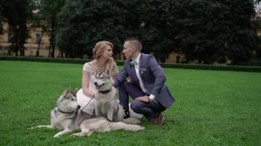 Gelin ve damat husky köpekleri ile