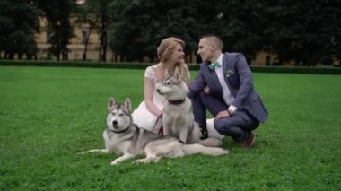 Gelin ve damat husky köpekleri ile