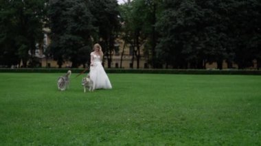 Husky köpekleri ile gelin
