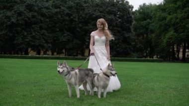 Husky köpekleri ile gelin