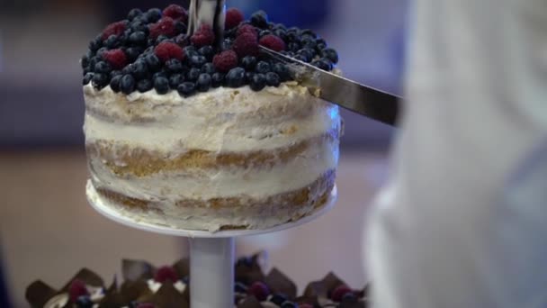 결혼식 케이크를 자르는 신랑 과 신부 — 비디오