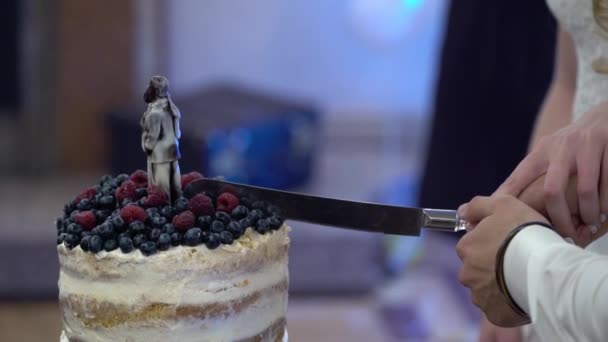 Novia y novio corte pastel de boda — Vídeos de Stock