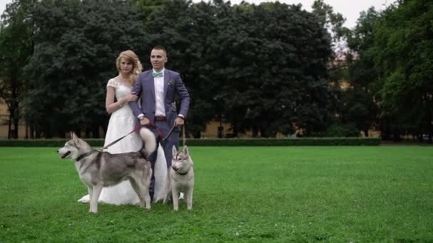 Bruid en bruidegom met husky honden — Stockvideo