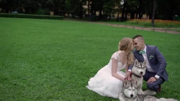Bruden och brudgummen med husky hundar — Stockvideo
