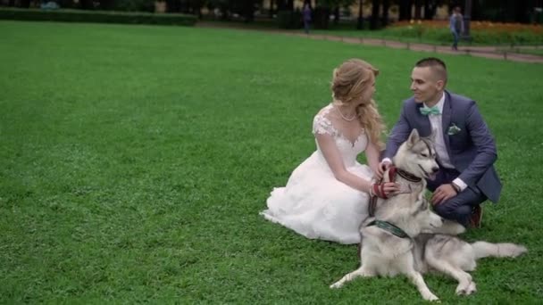 Жених и невеста с хаски-собаками — стоковое видео
