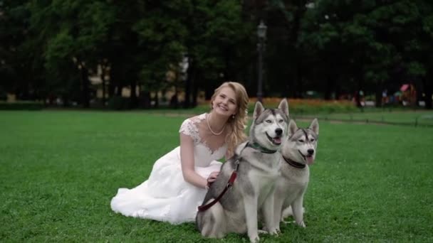 Bruden med husky hundar — Stockvideo