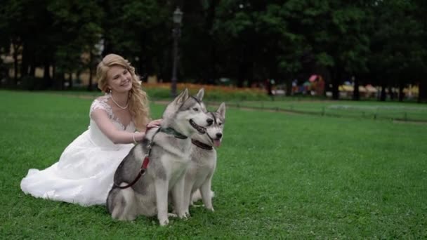 Bride with husky dogs — Stock Video