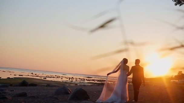 Bruid en bruidegom op het strand — Stockvideo
