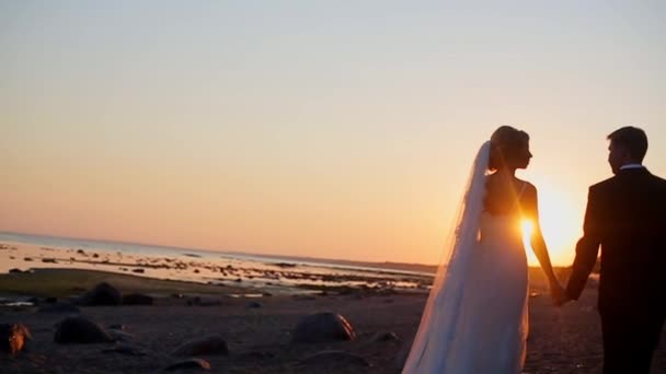 Bride and groom at the beach — Stock Video