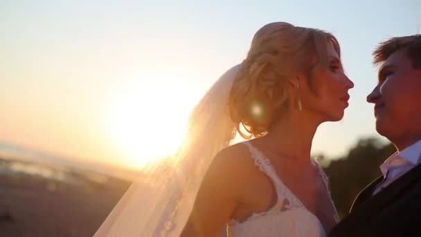 Bruden och brudgummen på stranden — Stockvideo